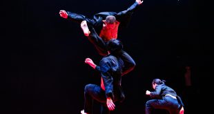 Soon-ho Park & Bereishit Dance Company: Balance and Imbalance + Judo