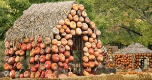 Cheekwood Harvest, Nashville