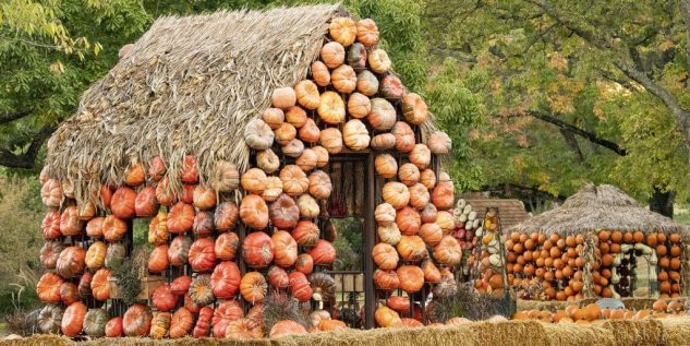 Cheekwood Harvest, Nashville