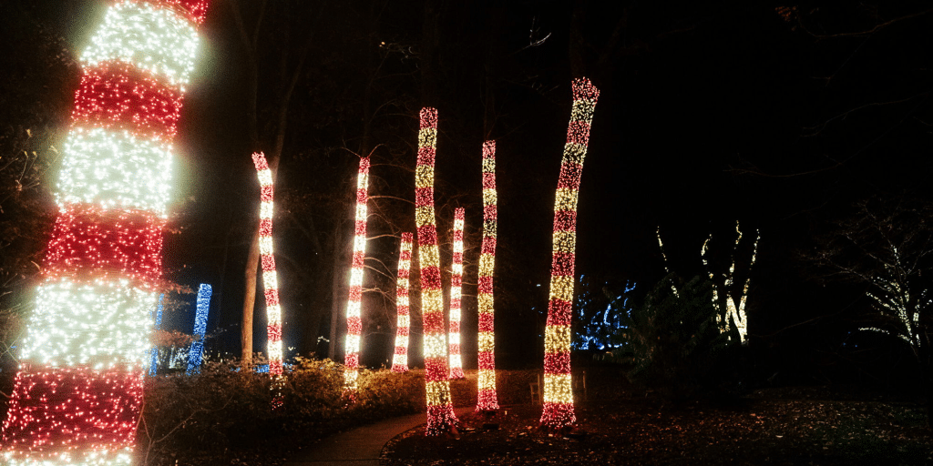 The 10th annual Holiday LIGHTS at Cheekwood