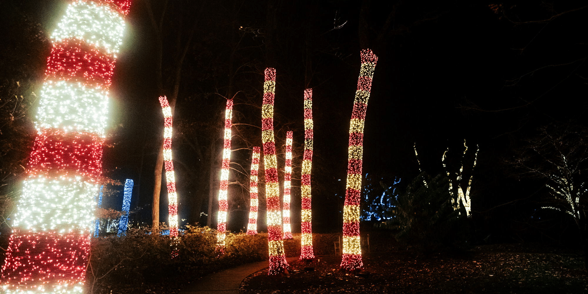 The 10th annual Holiday LIGHTS at Cheekwood