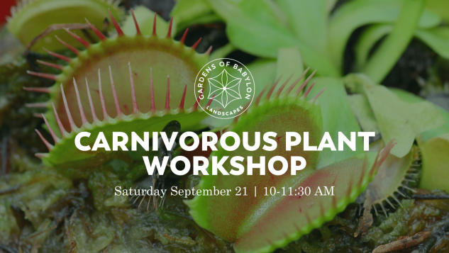 Carnivorous Plants Workshop, Gardens of Babylon Nashville