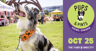 Pups & Pints HOWL-o-ween Festival, Nashville