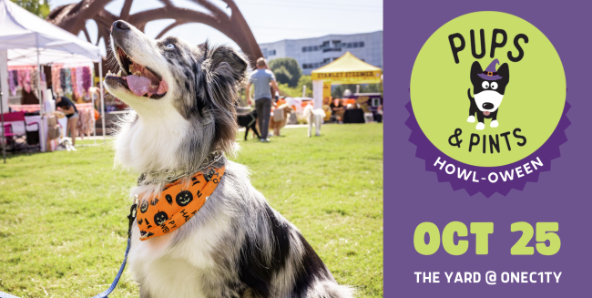 Pups & Pints HOWL-o-ween Festival, Nashville